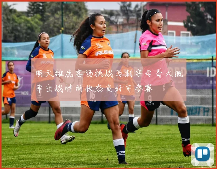 明天雄鹿客场挑战马刺字母哥大概率出战特纳状态良好可参赛
